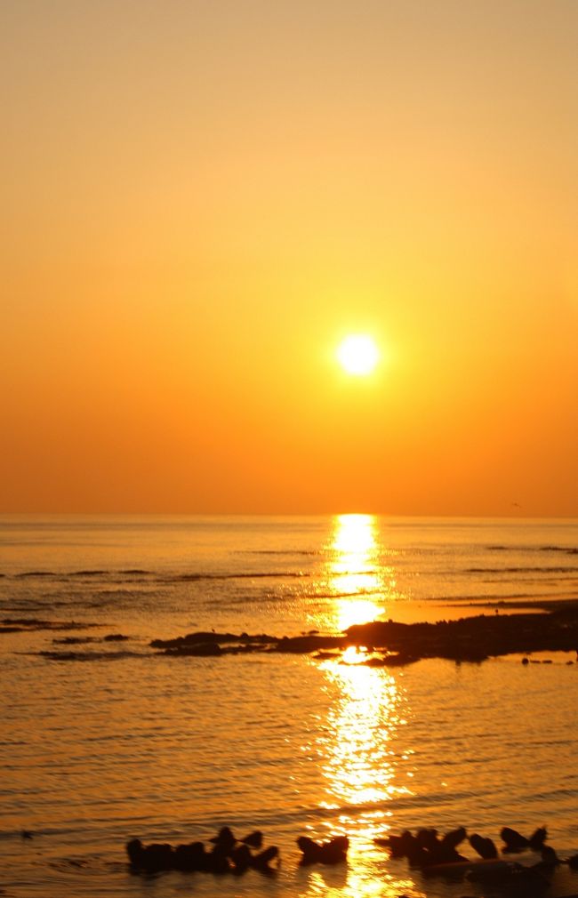 襟裳岬からの帰り