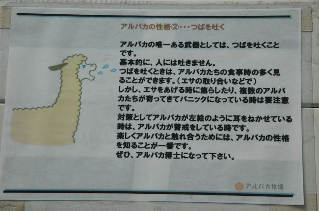 那須高原 アルパカ牧場はetc1000円キャンペーンでミラバケッソ の巻 那須 栃木県 の旅行記 ブログ By けーしちょーさん フォートラベル 那須高原 アルパカ牧場はetc1000円キャンペーンでミラバケッソ の巻 那須 栃木県 の旅行記 ブログ By けーしちょーさん フォートラベル