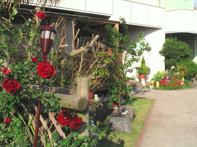 こんにちは〜<br /><br /><br />深紅の薔薇がキレイですねぇ<br /><br /><br /><br /><br />