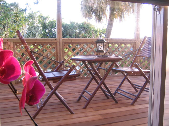 先ほどのテラスは・・・<br /><br />食堂のウッドデッキでした