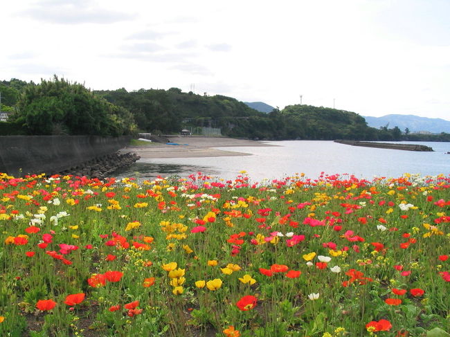 篤姫の実家があの辺り<br /><br />