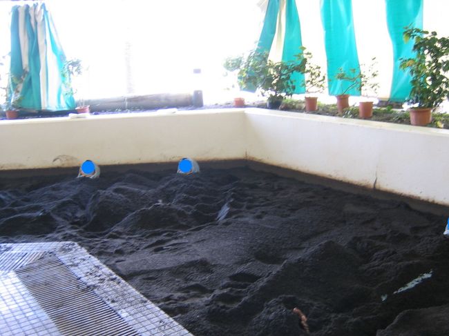 10〜12人で満員の砂風呂<br /><br />10〜15分で汗だく！