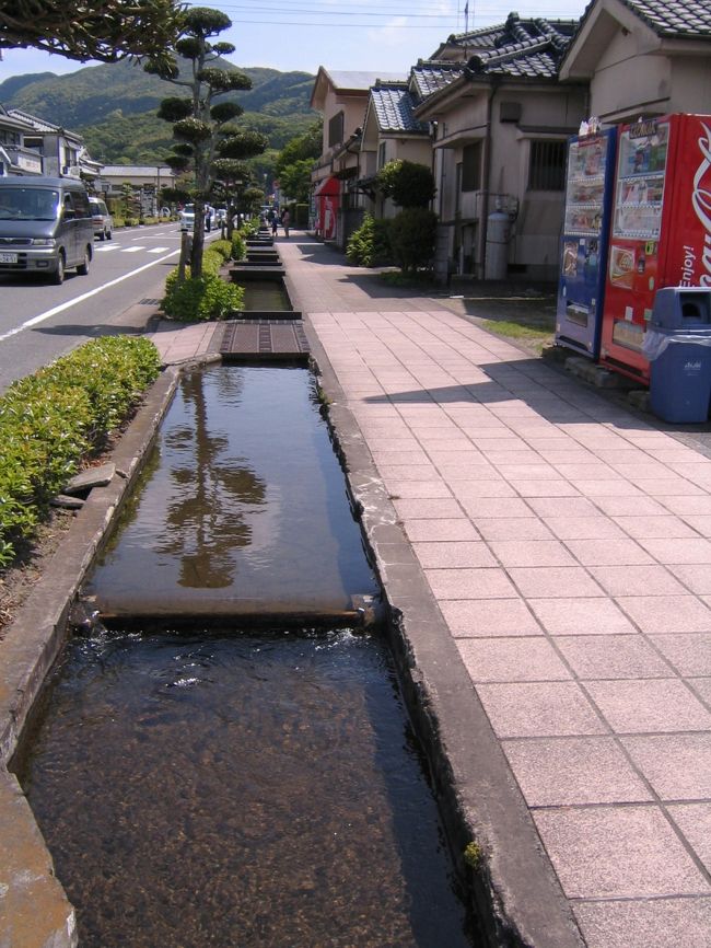 素晴らしい植木職人が<br /><br />いっぱい居そうな<br /><br />知覧の歩道
