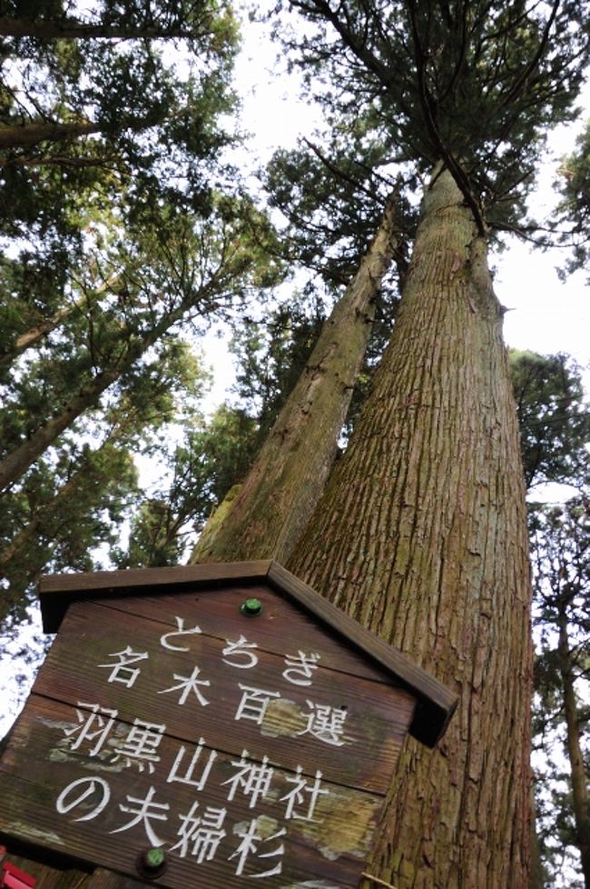 羽黒山神社へ 宇都宮 栃木県 の旅行記 ブログ By フロッガーさん フォートラベル