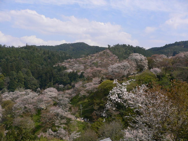 中千本<br /><br />この後、上千本を目指しましたが、<br />バス集合時間が迫り、途中で引き<br />返すことにぃ〜　　<br /><br />登りも人を掻き分けでしたが、<br />下りもなかなか前へ進めずに、<br />焦りました！<br /><br />しかし、バス駐車場まで戻って<br />ビックリ！！！<br />縦横に何台もびっしりをバスが<br />並んでいて、自分のバスの位置が<br />分からないのです。<br />バスガイドさんは、事前にこの<br />状況を説明してくれるべきなのでは？<br /><br />私は先に戻っていた友人のおかげで<br />すんなり見つけられたけど、苦労して<br />汗だくで走りまわっている人も<br />いました。<br /><br />びっり詰めて駐車したバスは、１５時<br />になると次々を動き出します。<br />後ろのバスは、前が動かないと前へ<br />進めないんです。<br />バスがどんどん山を下りだすと、反対<br />斜線には規制解除されたマイカーが<br />次々と登ってきてました。<br /><br />現地を１５時に出発をし、最寄乗降場へ<br />到着したのは２１時頃。<br />早朝出発で、暑い中をたくさん歩き、<br />帰路のバス乗車時間もとても長くて<br />疲れた一日でした。