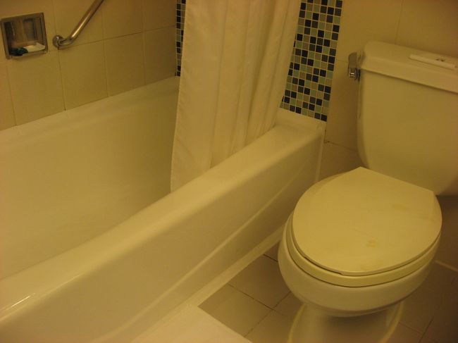 バスタブは割りと幅が広めで使いやすく、シャワーの水圧も満足。ノズルも取り外し可能で上下の高さも変更できるので使いやすいです。<br />ただ、トイレは水の流れが非常に弱い。<br />５回くらいレバーを回して、やっと水が流れてくるような感じです。頑張ってればそのうち流れます。