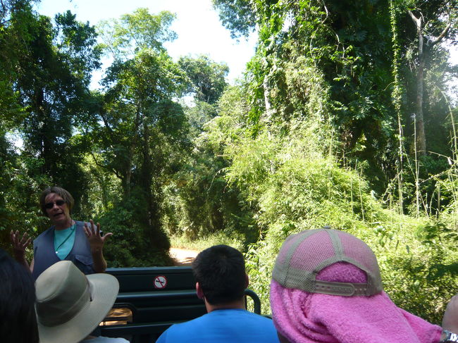 公園内のジャングルツアーに参加。