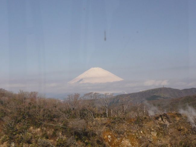 富士山が見えた！！