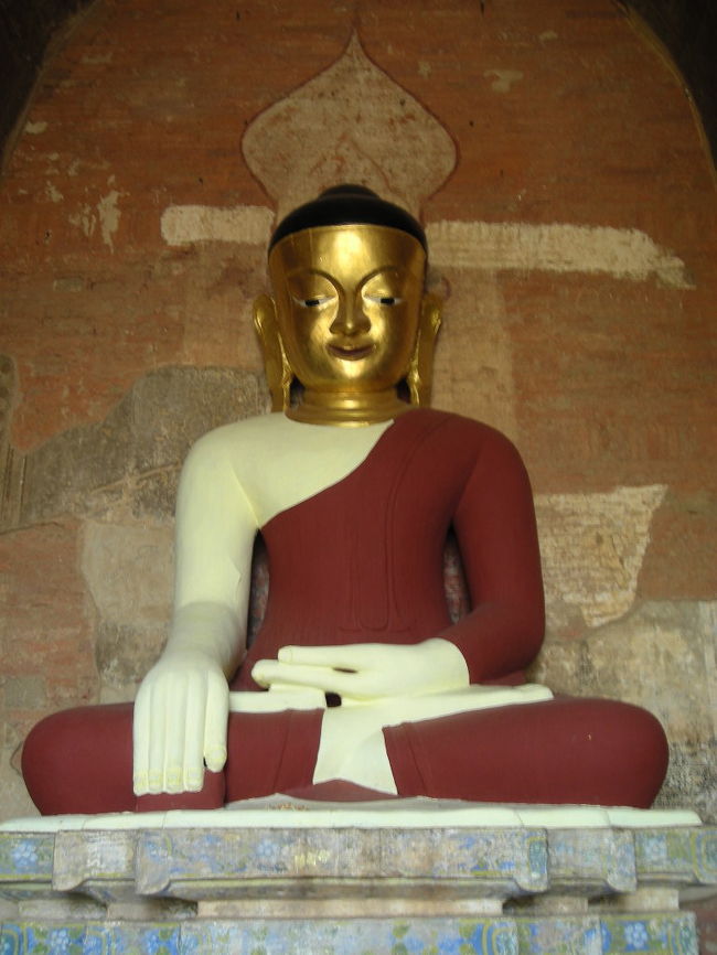 頭だけ金色。<br />なぜーーー?!?!