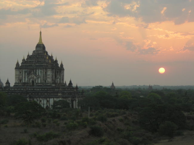 上がってきました。
