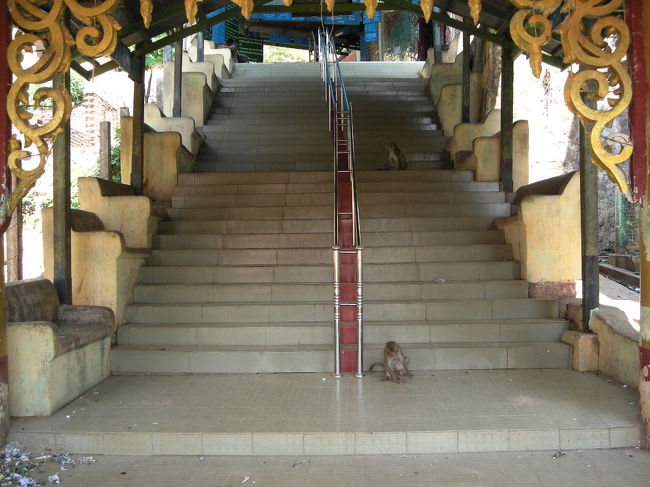 ポッパ山参道の階段。<br /><br />猿がいるーーー！