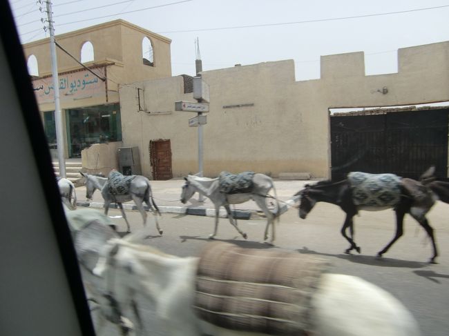 街へ向けて移動中。<br /><br />道にはロバ車が結構います。<br /><br />どうも、<br />ロバ車＜馬車＜ラクダ<br />あるようで、、、<br /><br />軽自動車＜普通車＜外車みたいなものか？<br /><br />ラクダは輸入らしいし。