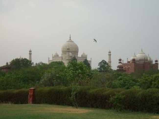 すぐ近くのホテルの屋上でティーブレイク。<br />