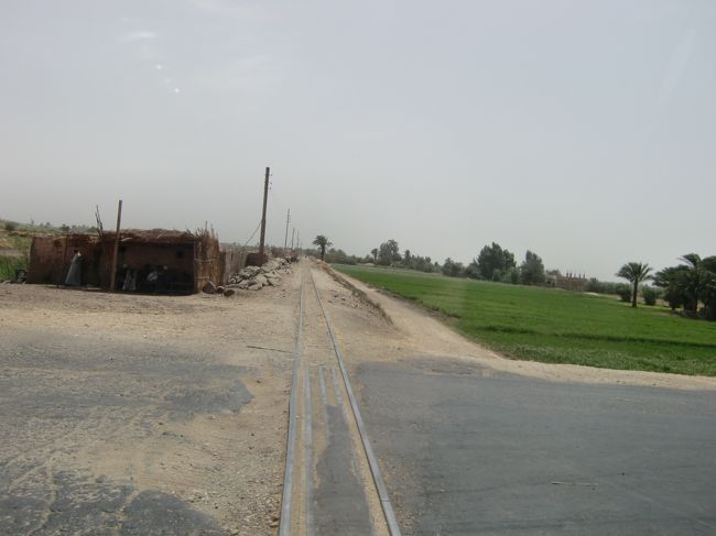 サトウキビを運ぶためのトロッコ線路だそうだ。