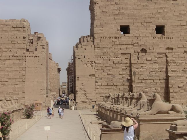 スフィンクスの列がお出迎え。