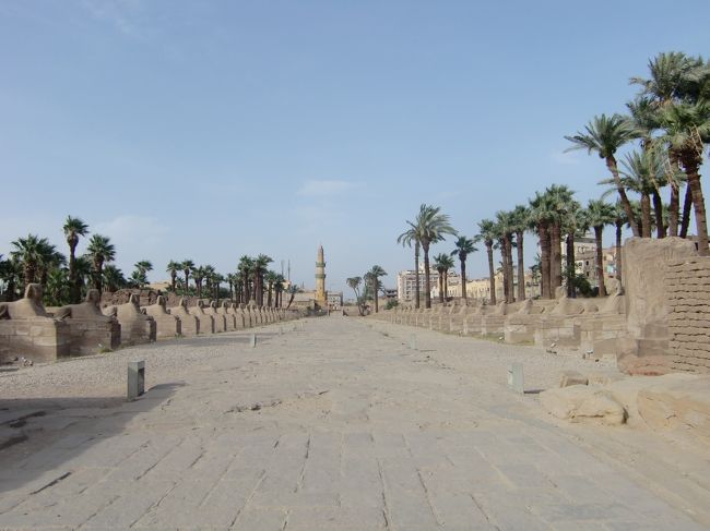 で、カルナック神殿に続く道はスフィンクスロード！