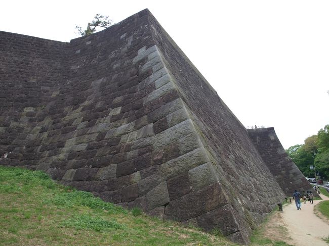 【本丸北側の高石垣】<br />発掘、修復されているのですが、もとからすき間なく規格を揃え積まれた石垣だったそうです。