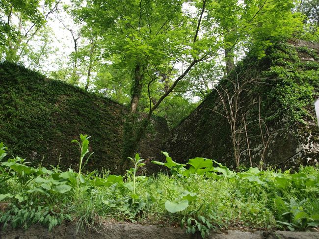 北側の本丸入口を越え、さらに渋滞は続きます。<br />城の西側で古めかしい石垣を発見しました。遺構だとうれしいのですが。<br /><br />