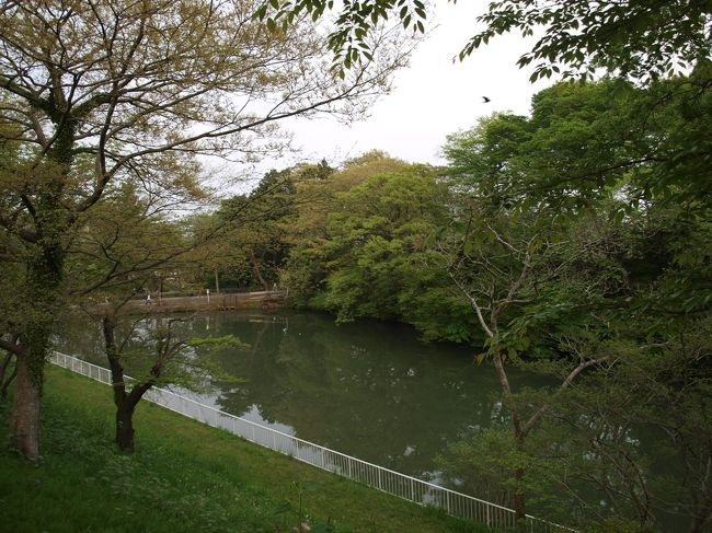 【五色沼】<br />右手に五色沼を見ながら坂を下ります。