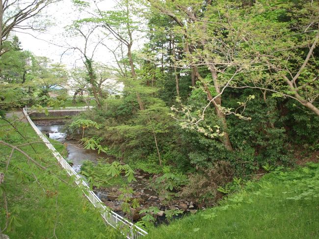 【長沼】<br />博物館入口から左手に見えるのは長沼です。このあたりの水量は少ないようですが、あの先で折れ、奥まで続いています。