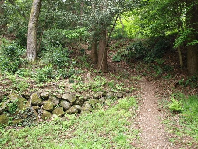 石垣を近くで見るために、少し登城路から外れて歩きます。<br />