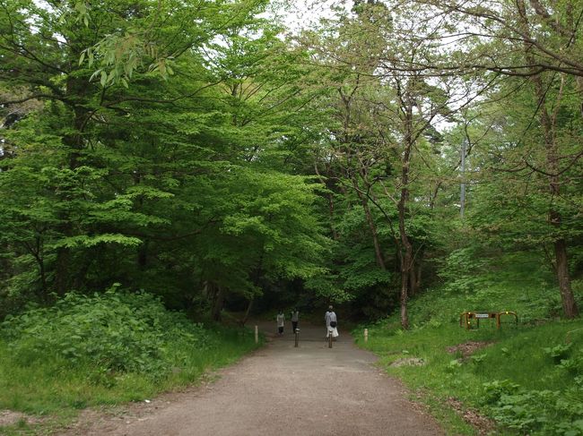 【沢門跡】<br />１時間ほどかけて散策した青葉城、大規模な城であったのに、城の面影が少なく少し残念に思います。<br /><br />桜と城を巡った５日間の東北旅行、最後の最後で渋滞にハマってしまいましたが、毎日がとても充実したコースとなりました。<br />いつかまた桜を巡る旅をしたいと思います。