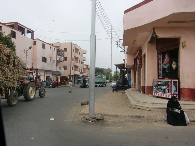 だいぶ走って、エドフの街に。<br /><br />ホルス神殿近くのようです。<br /><br />おばあさんはパンをかじってる？<br /><br />サトウキビ大漁だ。