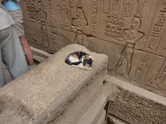 猫も観光客におかまいなく、寝てます。<br /><br />暑くないからいいんだろうな。