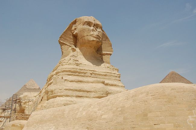 じーっと何かを見つめています。それにしても大きい！