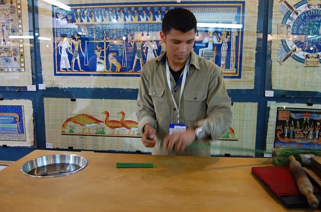 食事の後はパピルスのお店に行きました。お兄さんがパピルスの作り方を説明してくれました。