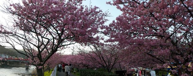 近所だったら犬の散歩コースにしたいなぁ〜