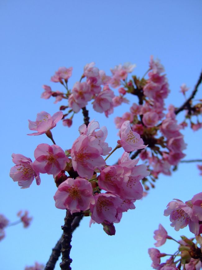 あぁ〜日が暮れちゃうよ〜