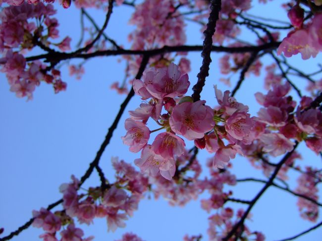 また来年会いましょう！