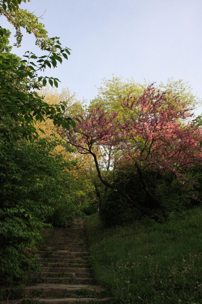 森林公園のようになっていて自然が美しい。ただひたすら坂道を登っていく。