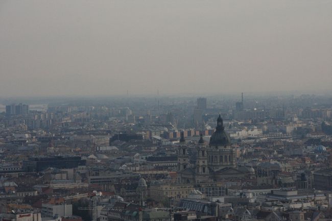 朝靄が綺麗だ。