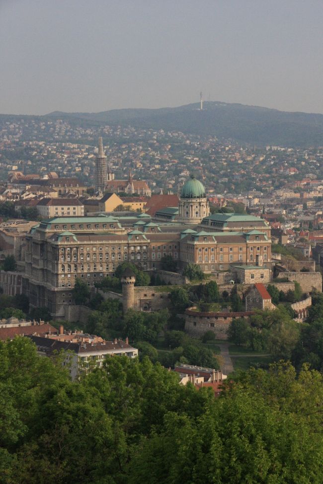 夜景でも美しかった王宮。
