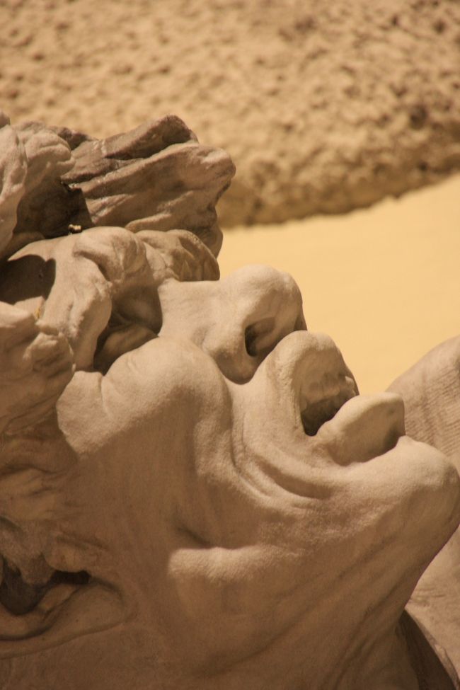 あっ、こちらにも!