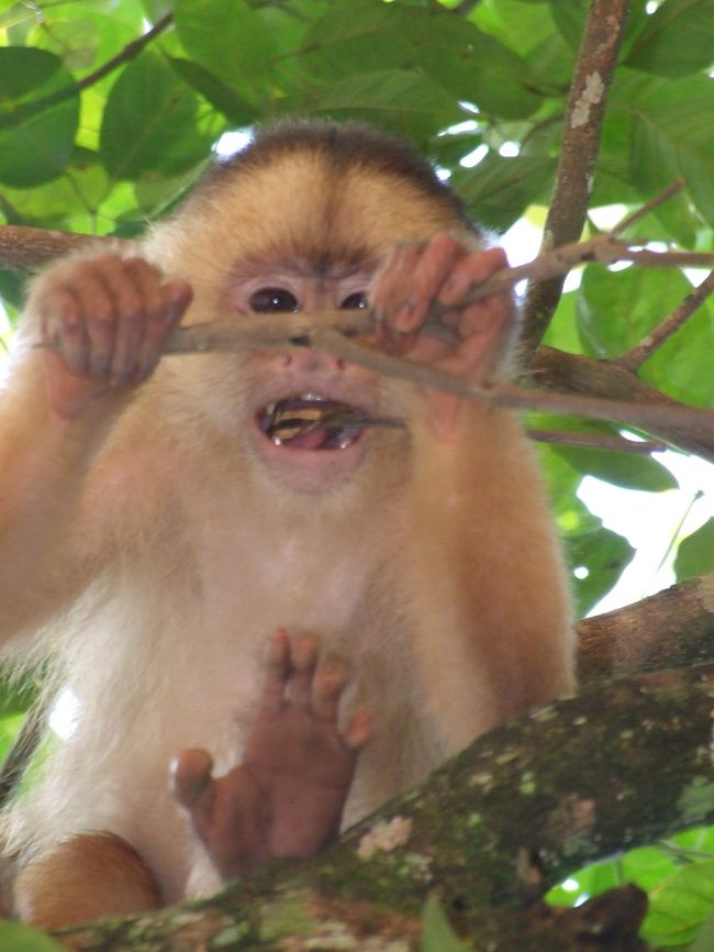 プカルパの唯一のアトラクションといえば、動物園です