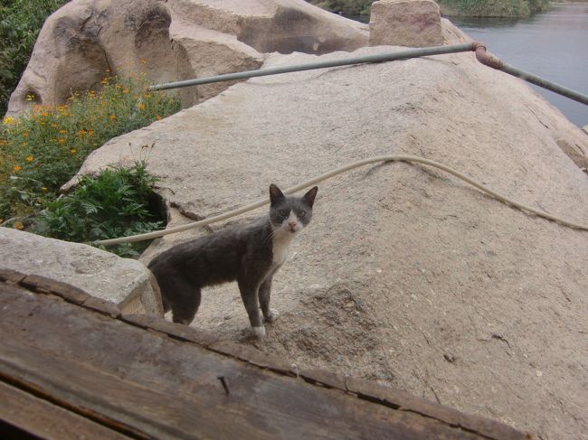 こいつもちょっと態度悪そう。