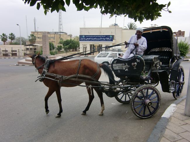 馬車を拾って街中観光です。