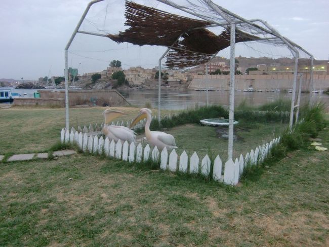 ペリカンは2匹なぜか喧嘩中。<br /><br />となりに小鹿１匹だけ、孔雀とペリカンに威圧され？固まってます。<br /><br />さてそんなこんなで一日終了。<br /><br />「世界の車窓からを目指してin5000年分の遺跡を求めてエジプト７（アブシンベル）」につづく<br />http://4travel.jp/traveler/tentou_musi/album/10337554/