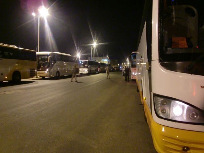 反対側にはでっかいバスが大漁！