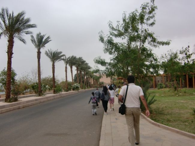 アブシンベルの駐車場に到着。<br /><br />朝早いのに観光客が結構います。