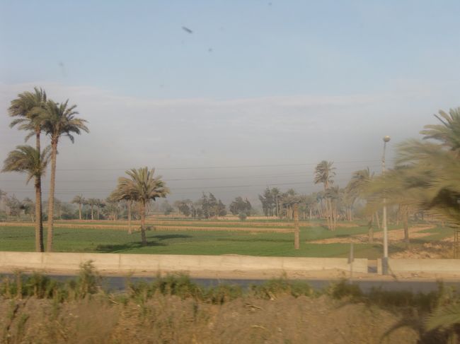 周りは農村風景です。