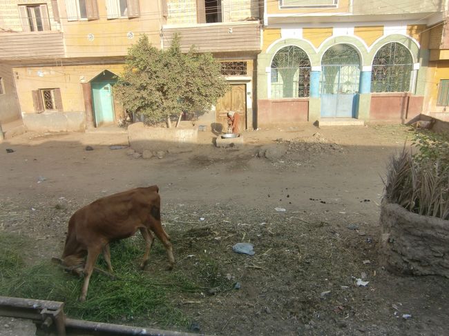 町のなかではゆっくりと列車は走ります。<br /><br />水道はないのか、家の前に井戸があって朝の水汲み。