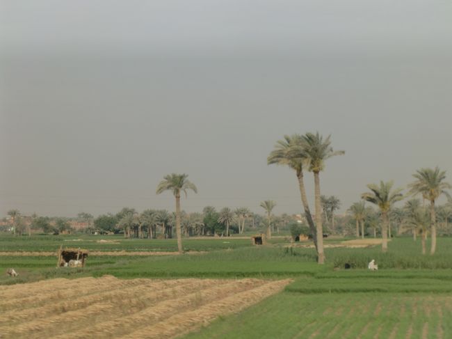 遠くにかすかにピラミッドが見える！<br /><br />いよいよカイロかな？