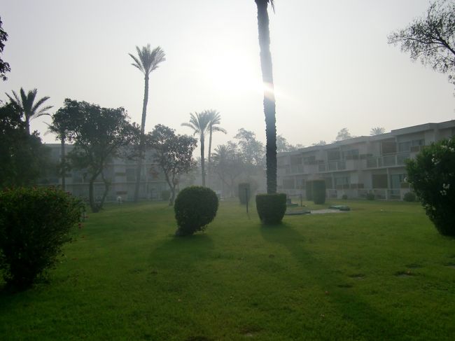 朝起きて、ホテルで朝食。<br /><br />すがすがしいけど、やっぱりちょっと寒い。。。<br /><br />エジプトと思って薄着だけしか持ってこないと以外に苦戦するかも。<br />バスや列車なんかはエアコン強めだから、暑い地域への旅行の時は、羽織る長袖は必携です。