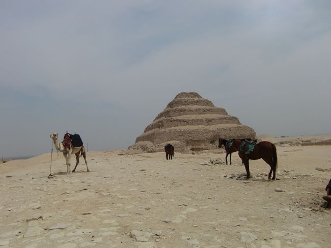 観光用ラクダやらウマやらいたり、