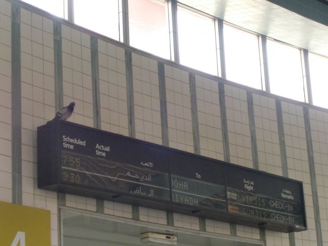 カイロ空港の待合場所。<br /><br />ハトが一羽。。。<br /><br />ガイドの出入り自由なんだからハトの一羽くらいいいんだろうな。<br /><br />そういえばホテルとかもロビーに鳥が巣を作ってたっけ・・・