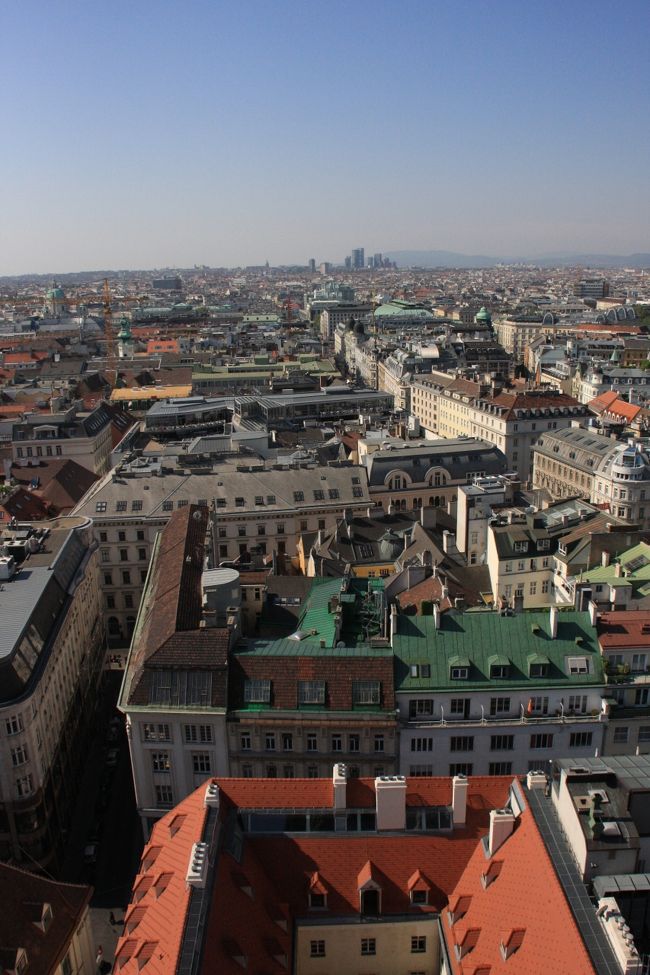 辿り着くのが辛かった分美しい。